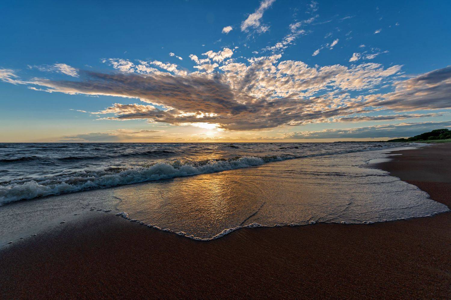 , Виктор Желенговский