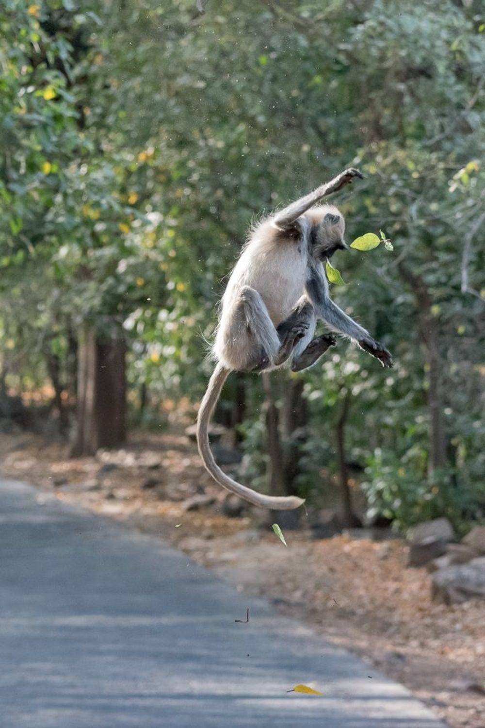 , Гордонов Юрий