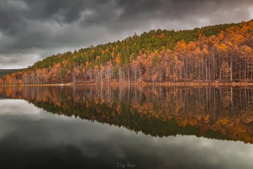 Молоковка, Забайкальский край