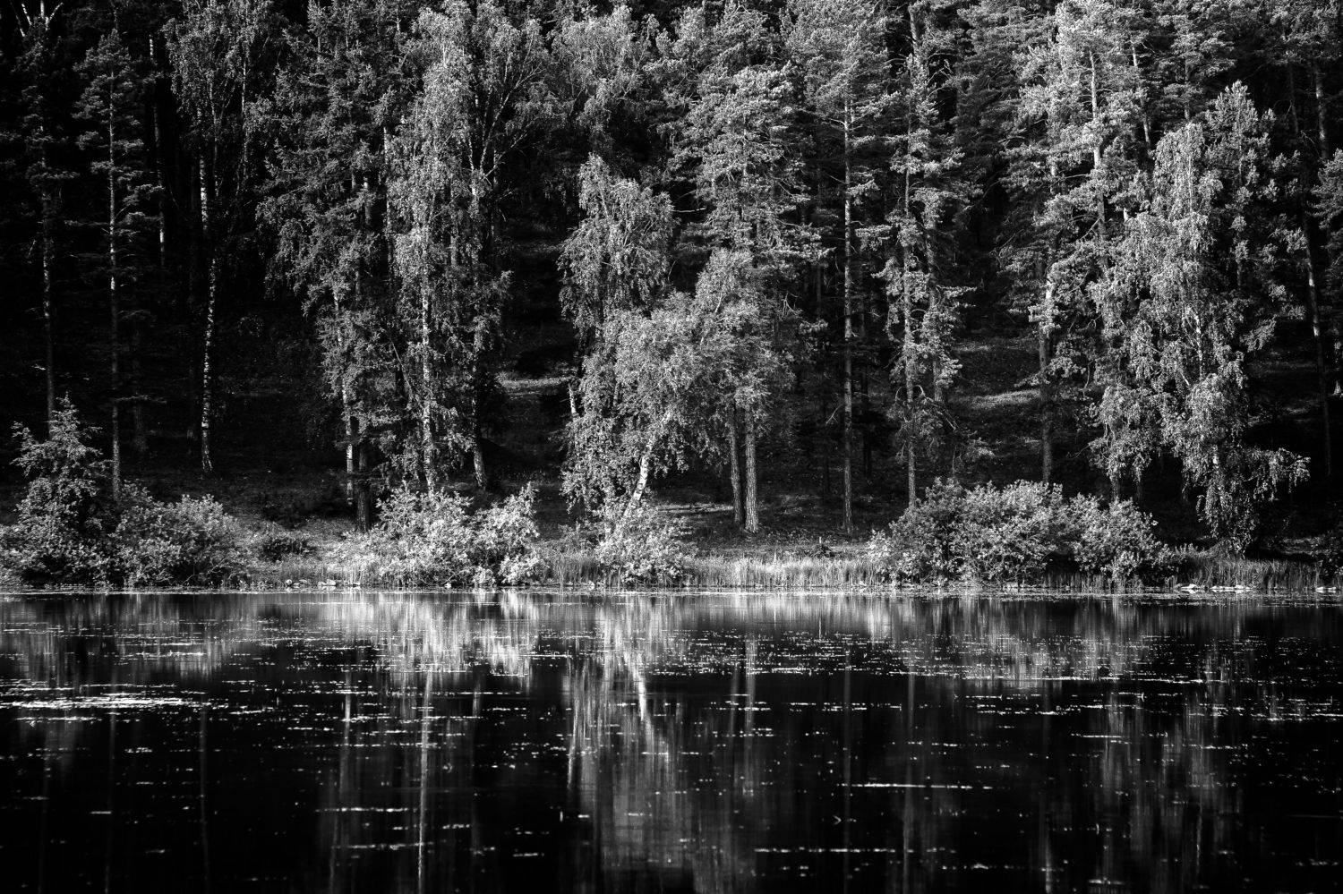 , Андрей Шарапов