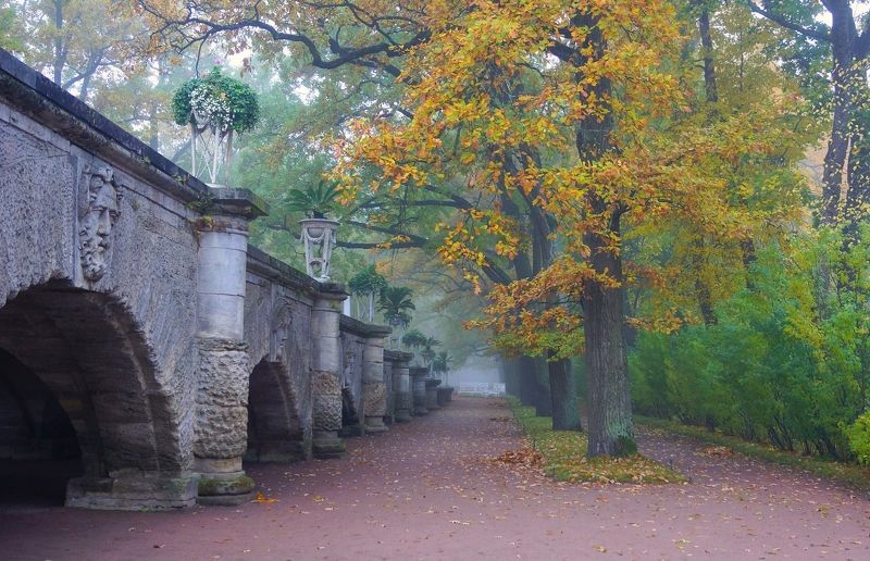 Autumn morning фото превью