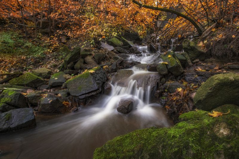 Течет ручей, бежит ручей. фото превью