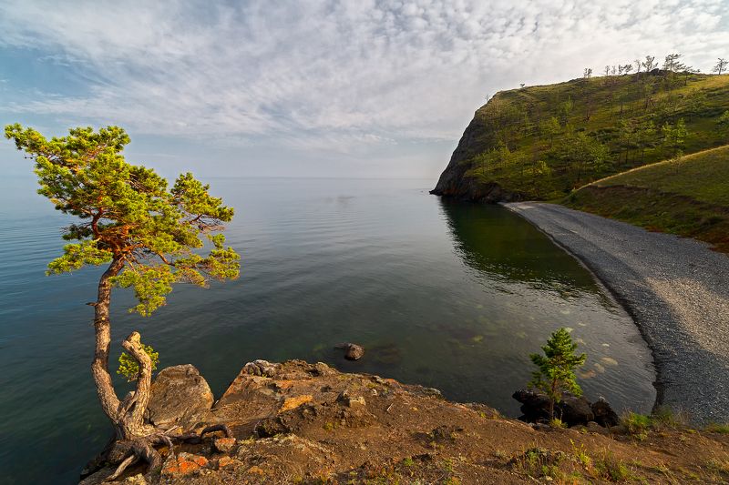 Лето фото превью