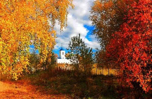 Не скучная осень...