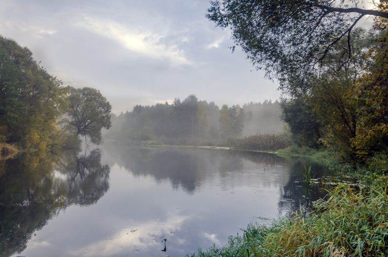 Туманное утро на Снежке фото превью