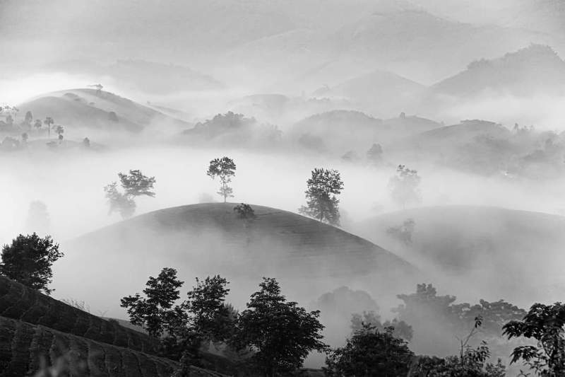 LONG CỐC VIỆT NAM фото превью