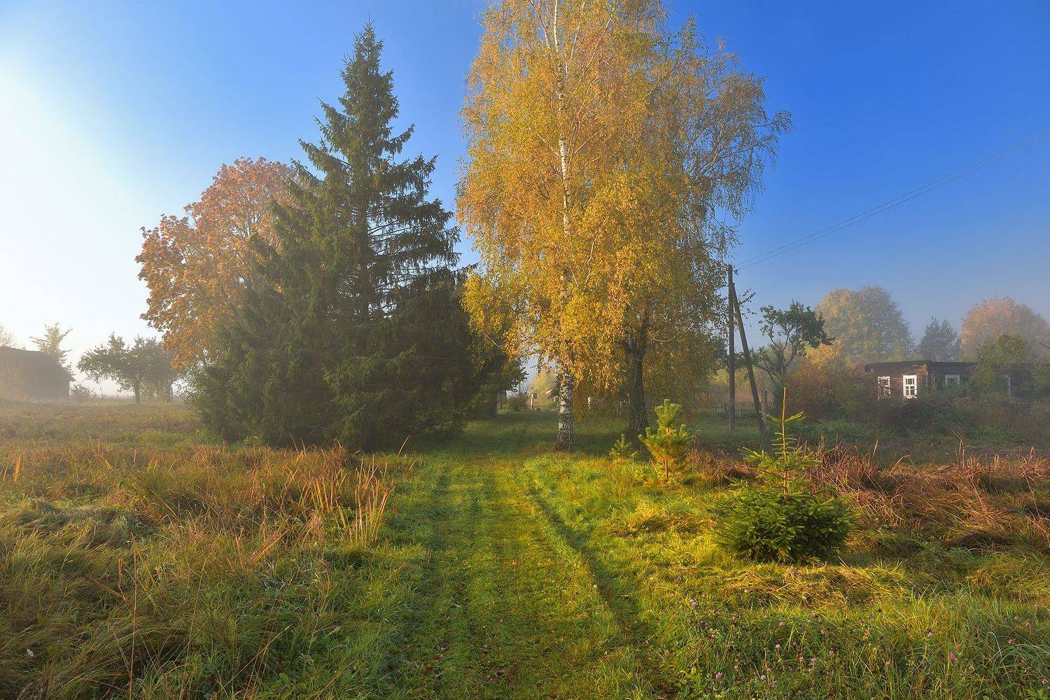 , Руслан Авдевич