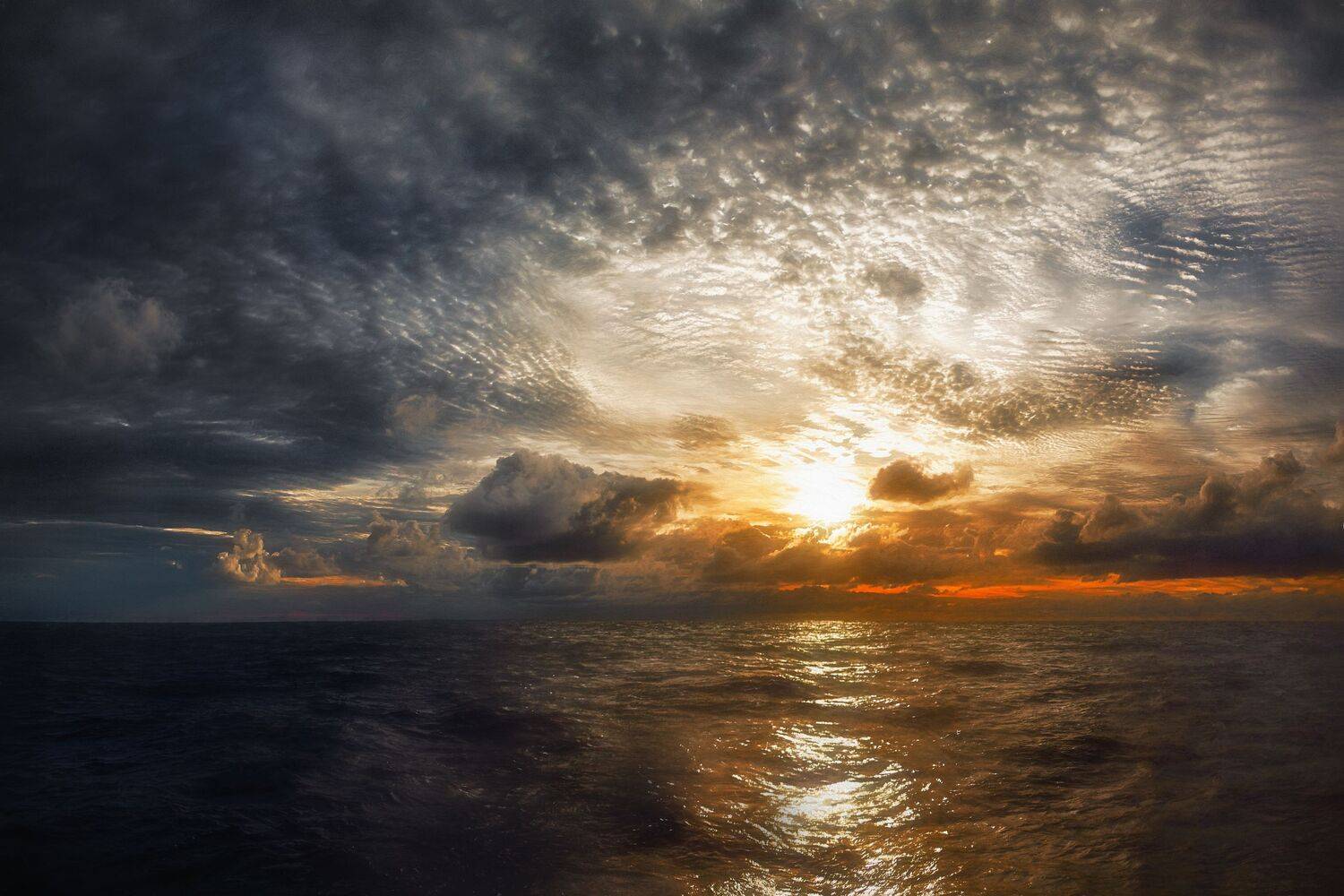 , Шварцман Евгений