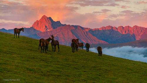 На рассвете