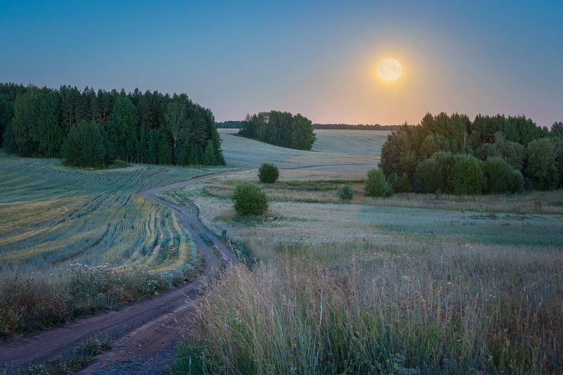 Лунная ночь фото превью