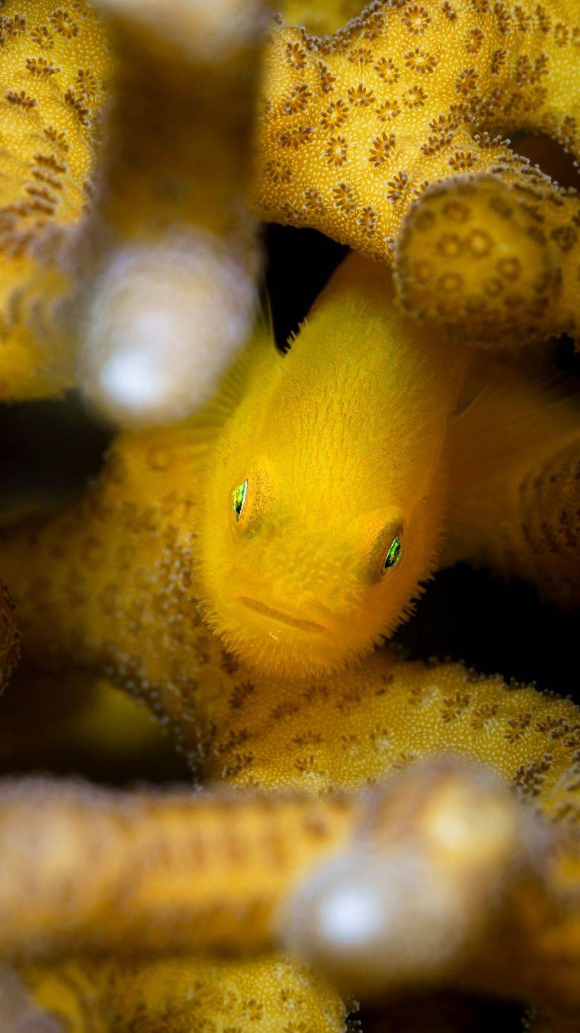 , Савин Андрей