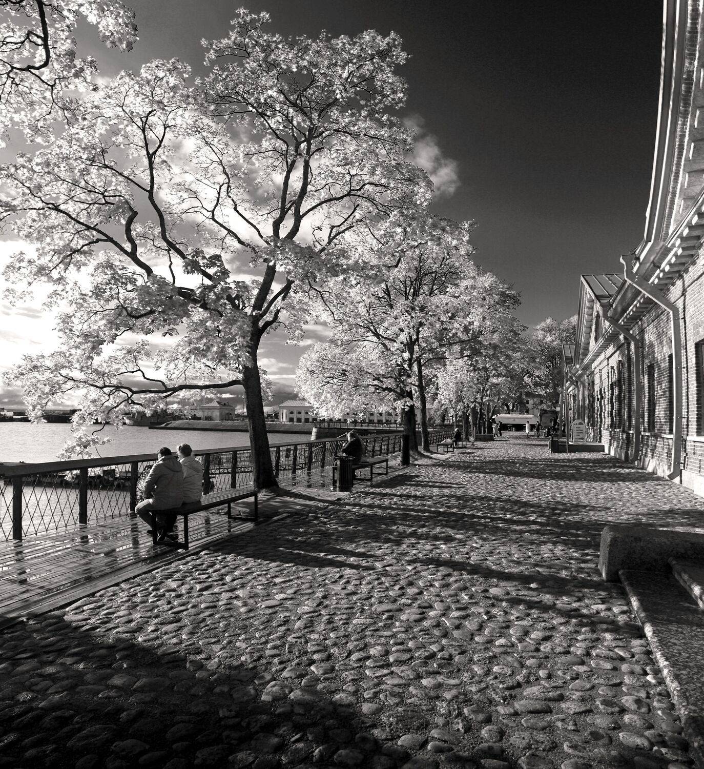 , Сергей Григорьев