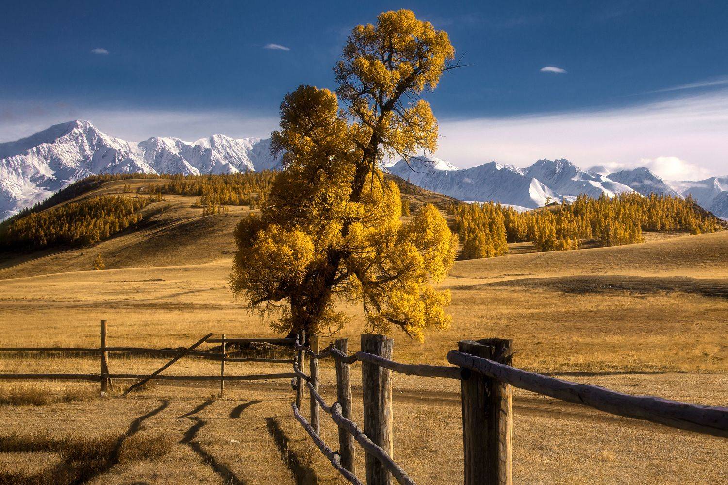 , Юрий Столыпин