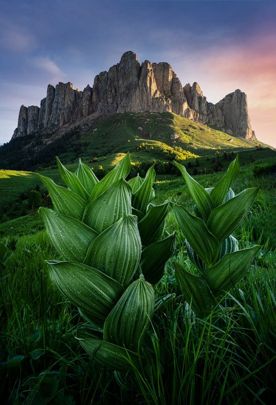 тхач, большой тхач, адыгея, краснодарский край, кавказ, кавказские горы Капли росы фото превью