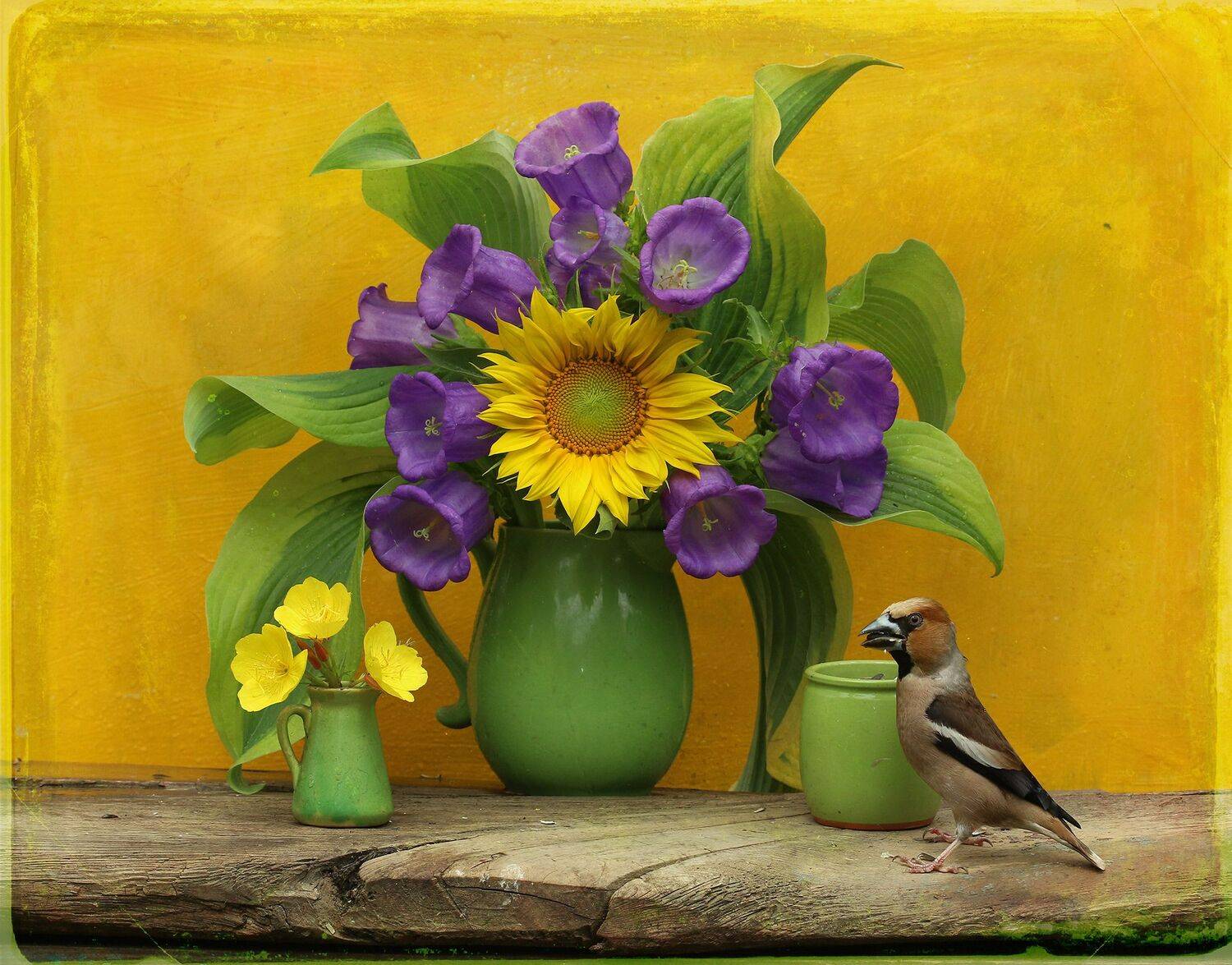 дубонос, Хромушин Олег