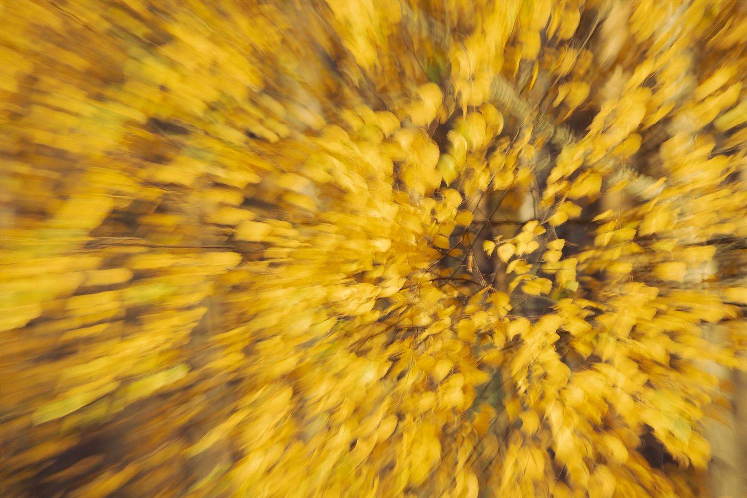 , Чудинин Дмитрий