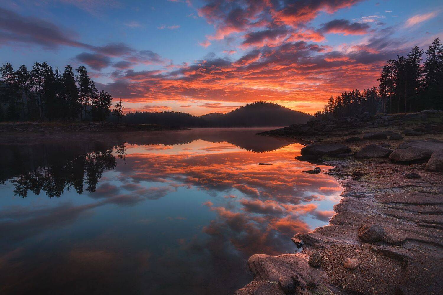 , Mariyana Atanasova - Lucero