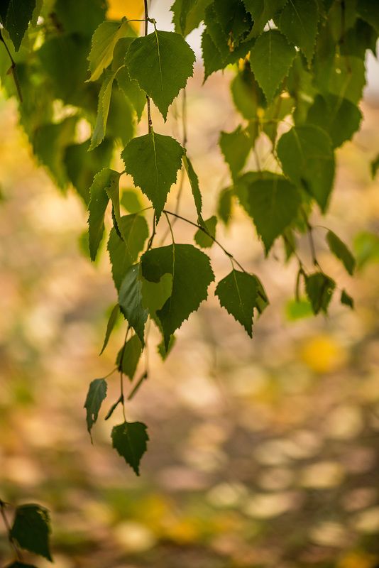 октябрь фото превью