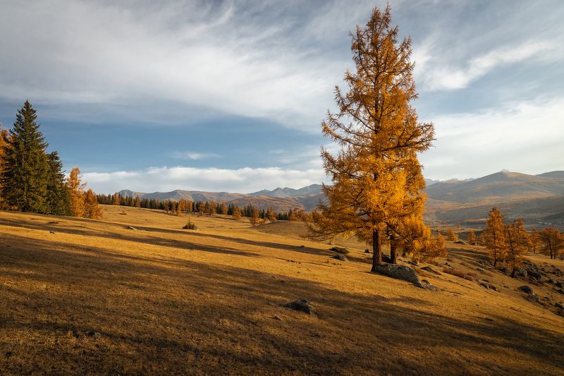 Золото осени фото превью