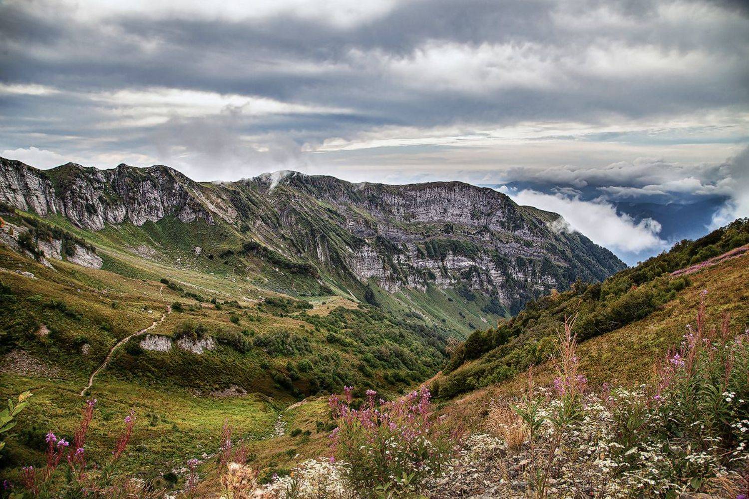 , Покровский Алексей