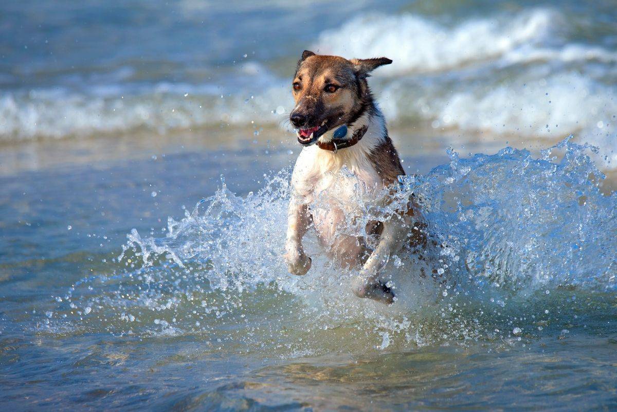 , Людмила Бекман