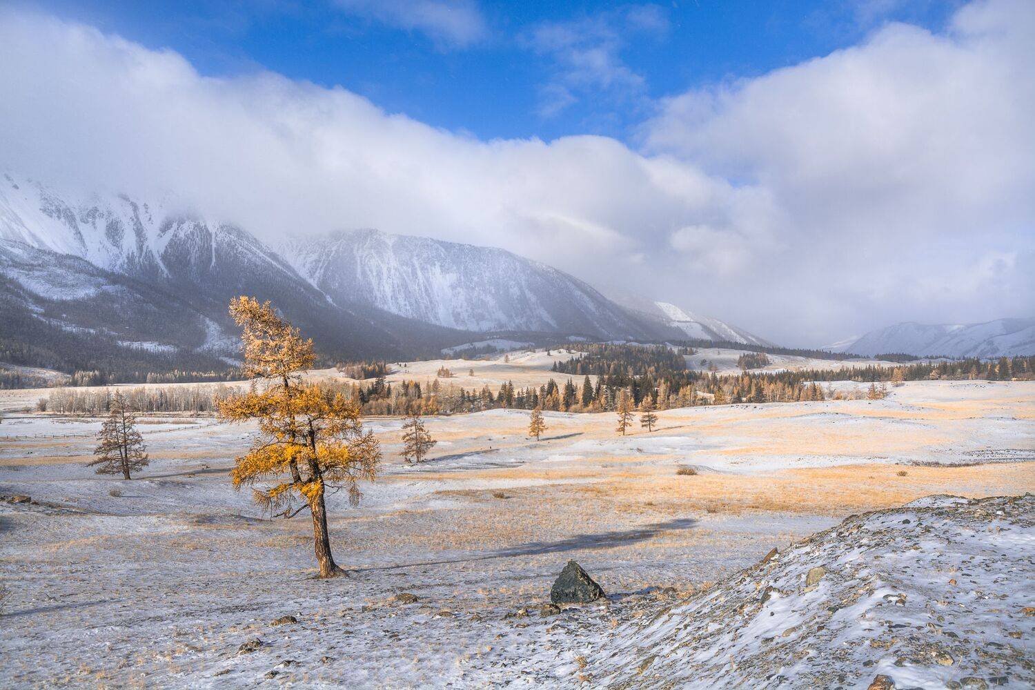 россия, горный алтай,осень,утро, снег, Андрей Поляков