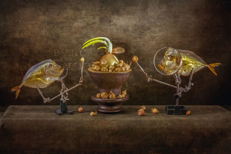 Вомеры и выращивание лука фото превью