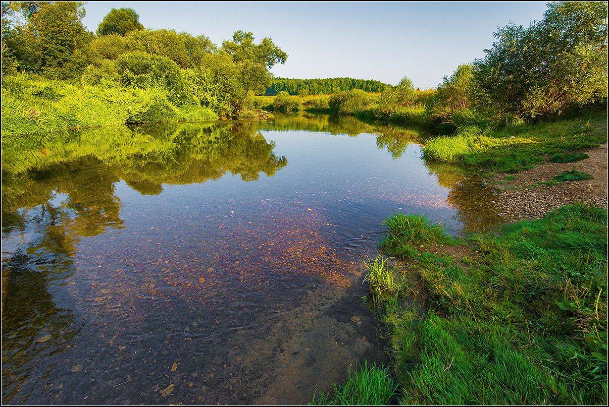 калужская обл. р. протва, утро, АНАТОЛИЙ ДОВЫДЕНКО