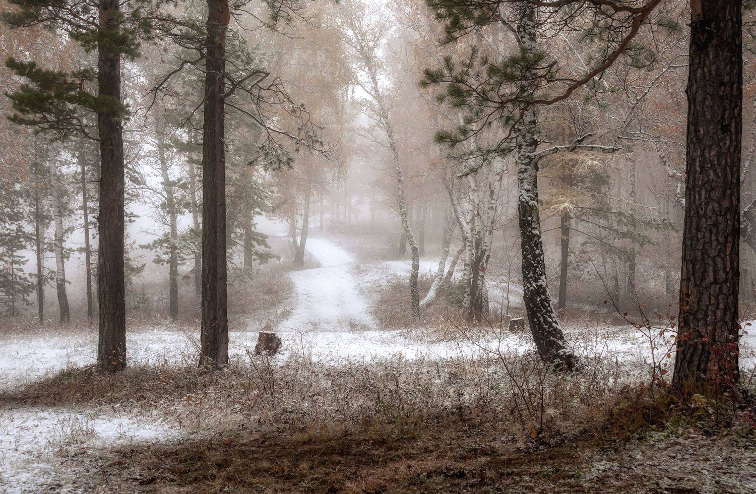 октябрь, предзимье, осень, торгашинский хребет, Марина Фомина