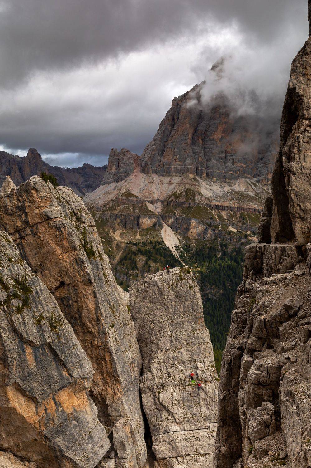 , Евгения Чех