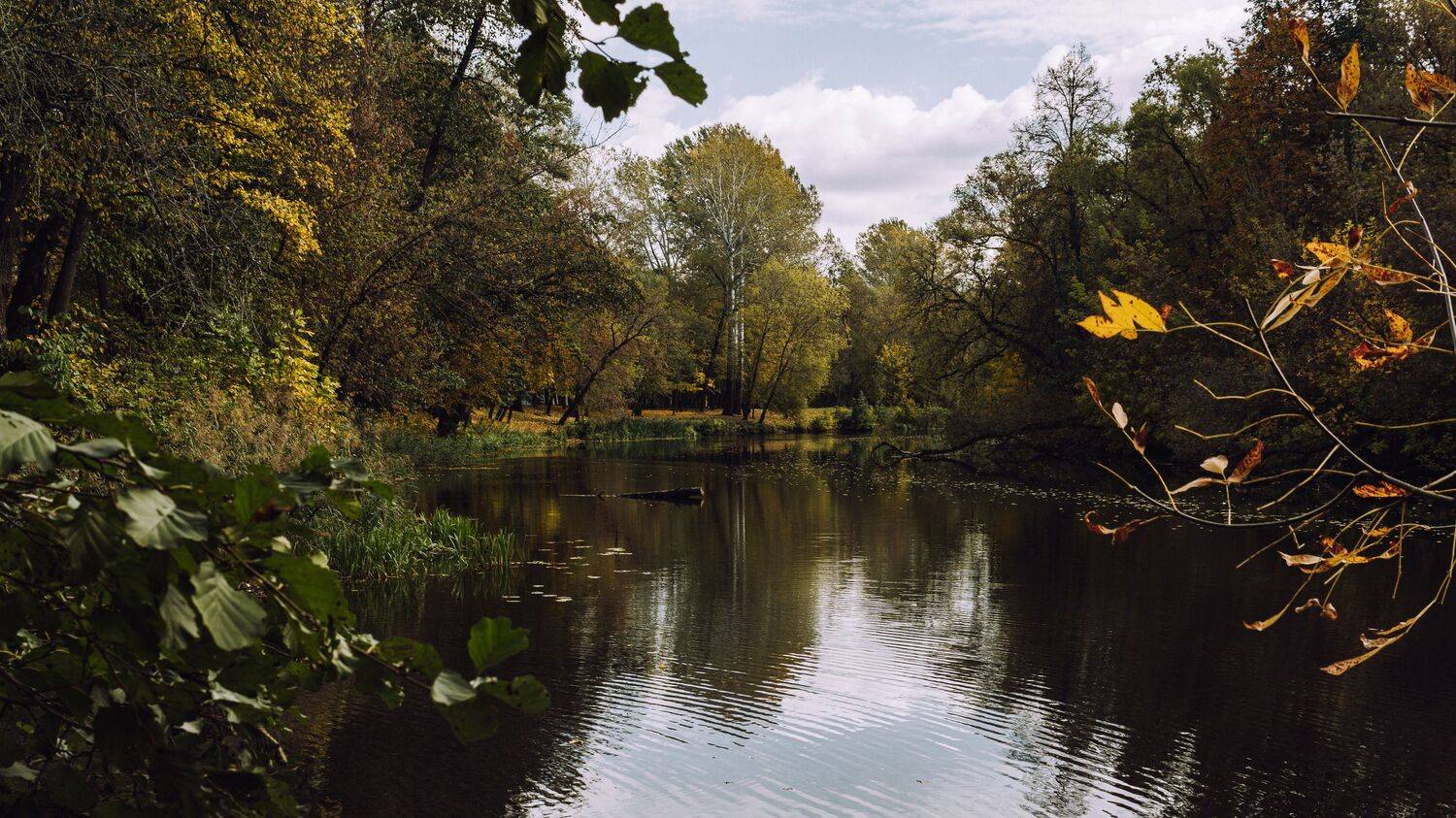 , Юрий Вертиков