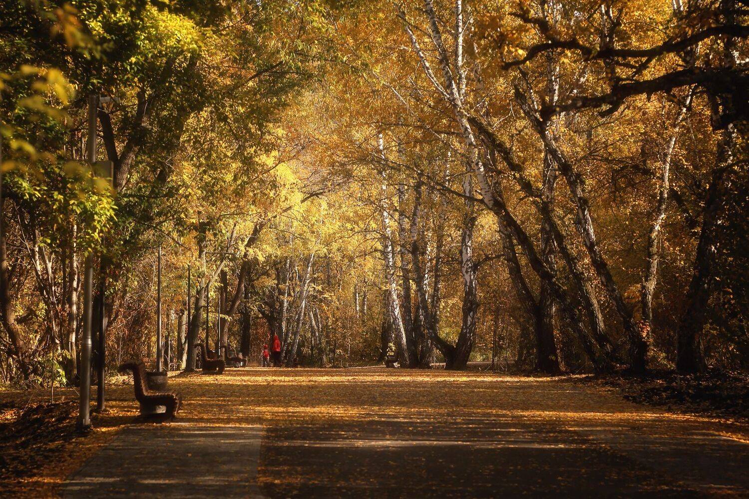 , Евгений Зинов