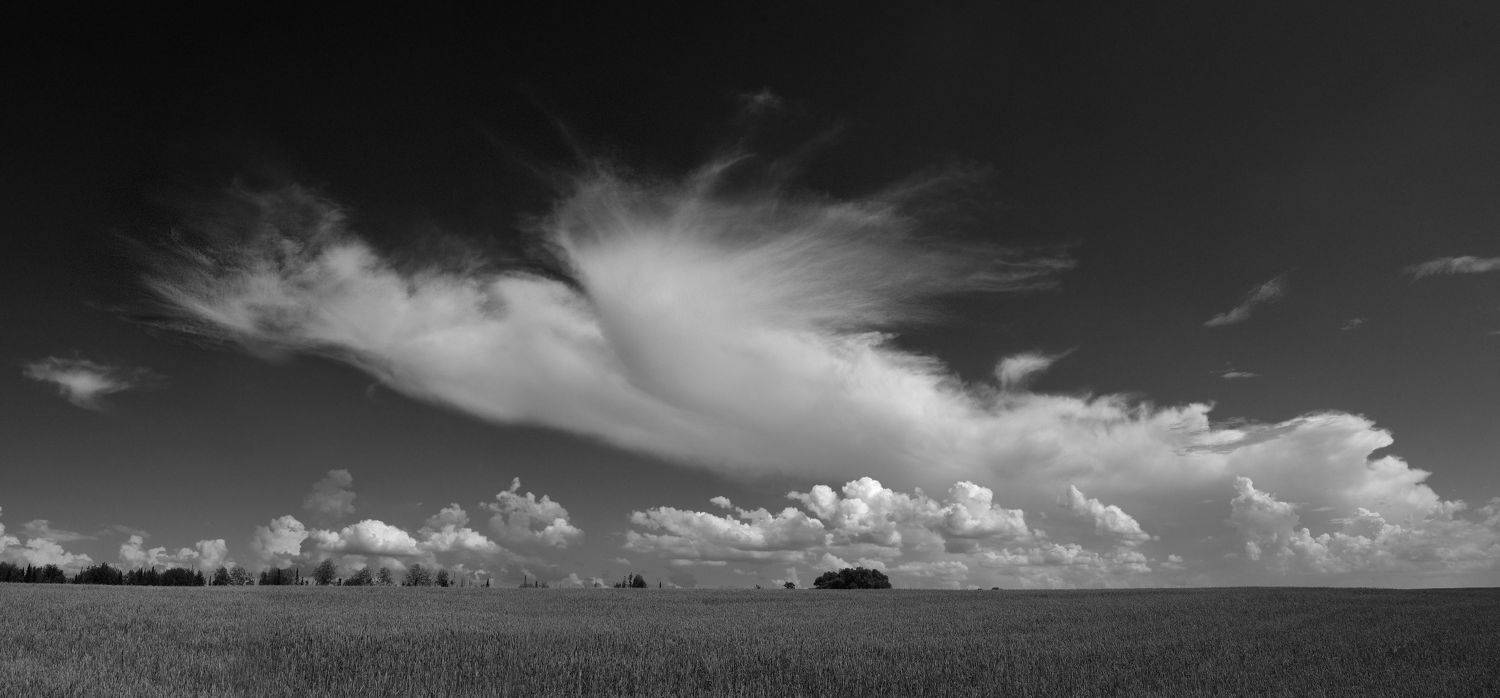 , Андрей Зыкин