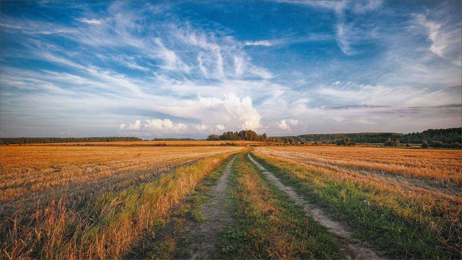 пейзаж, осень, вечер, поле, деревня, лес, небо, облака, свет, цвет, александр никитинский., Никитинский Александр