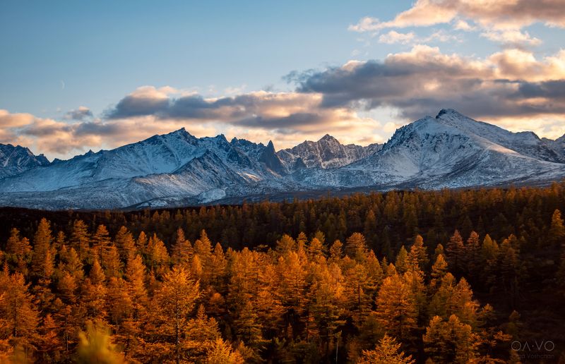 пейзаж, осень, озеро Джека Лондона, природа, горы, лес, Россия, природа России, nature, landscape, Russia, autumn, снег, snow Осень, ты прекрасна! фото превью