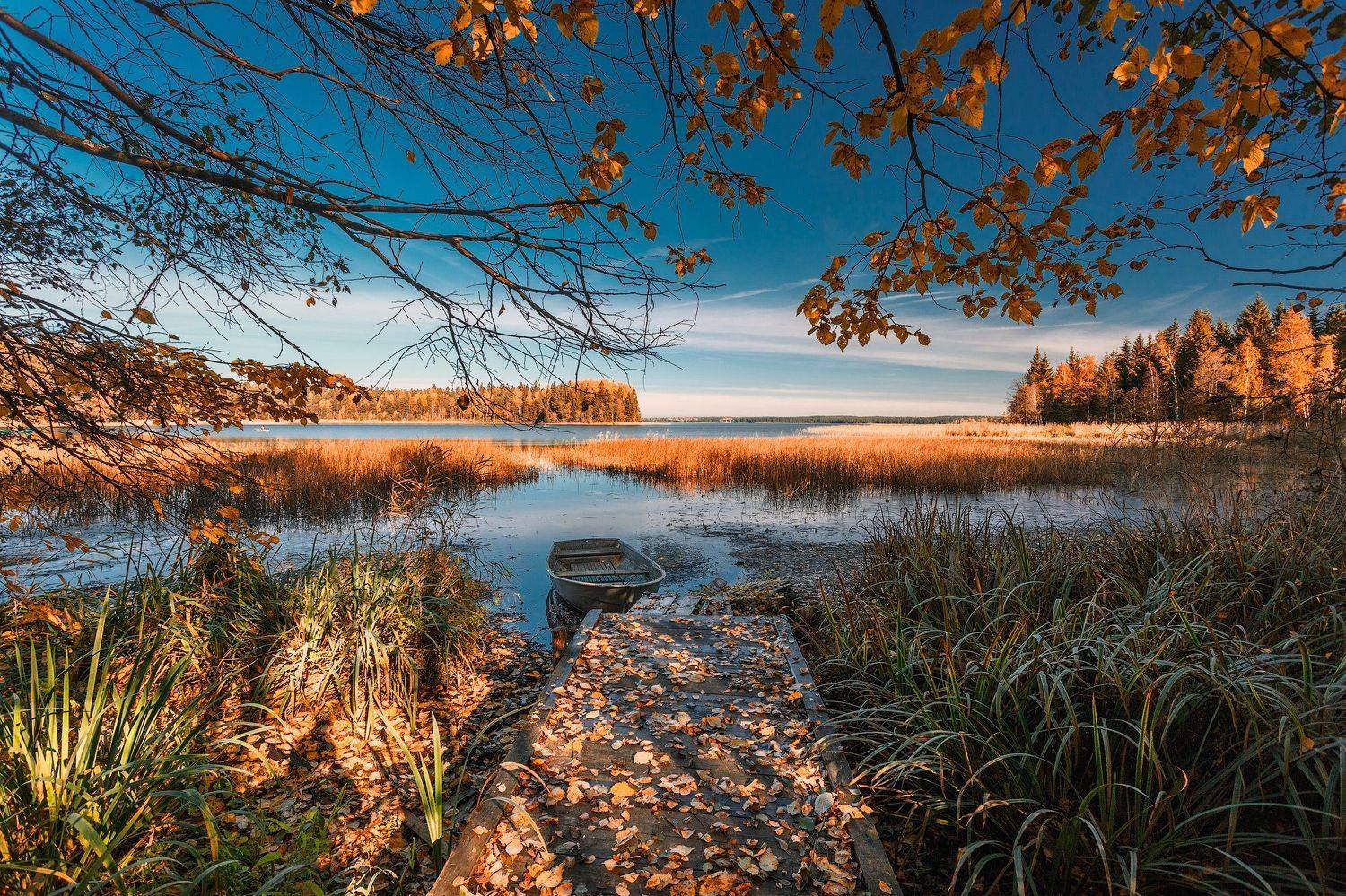 валдай, Тимофей Шутов
