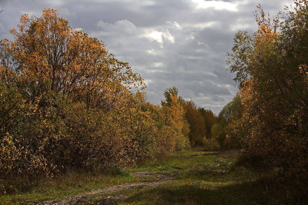 , Николаев Владимир