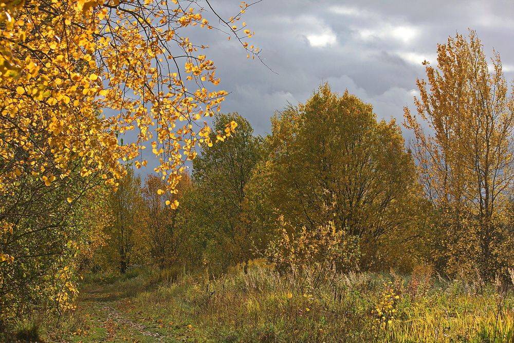 , Николаев Владимир