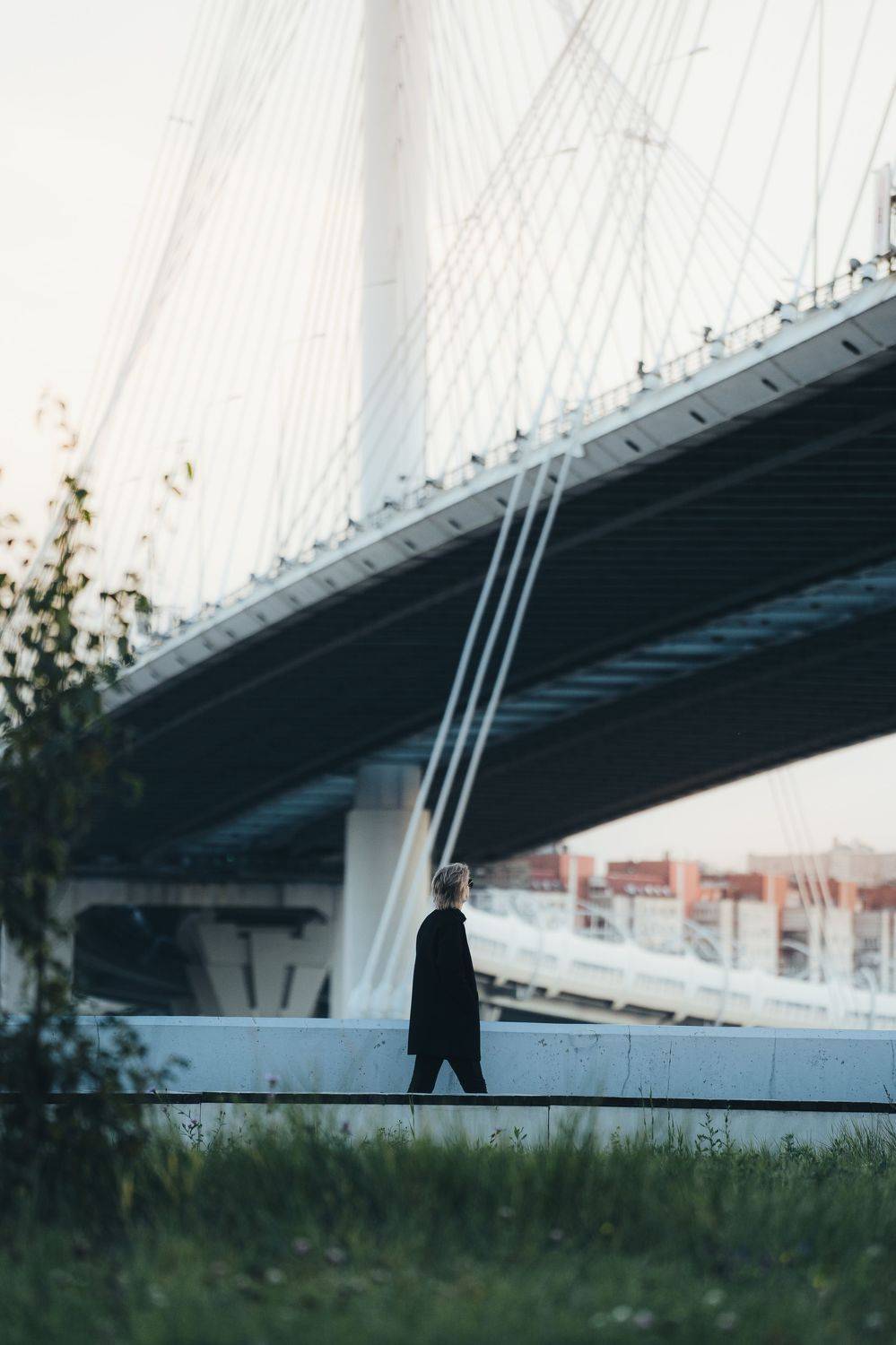 , Золкин Богдан