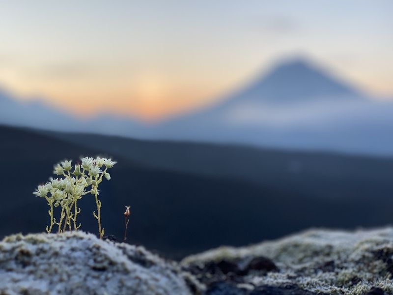 #камчатка Вулкан Удина. Камчатка фото превью