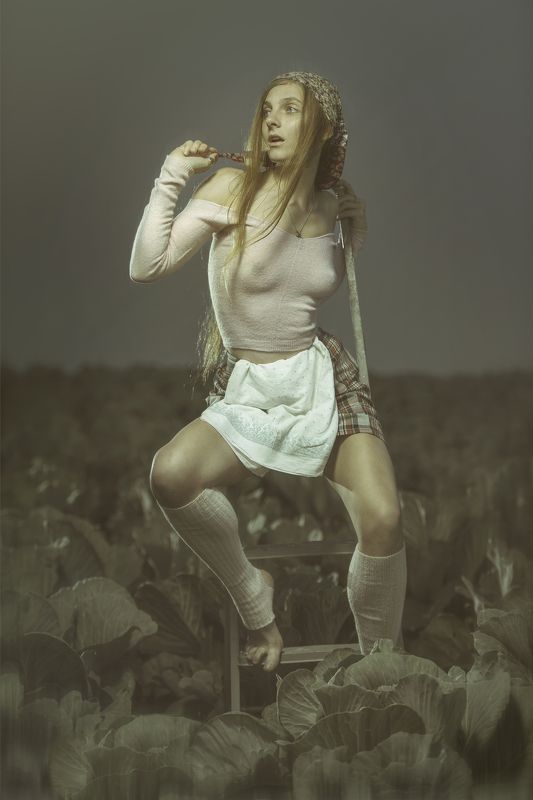 капуста фото превью