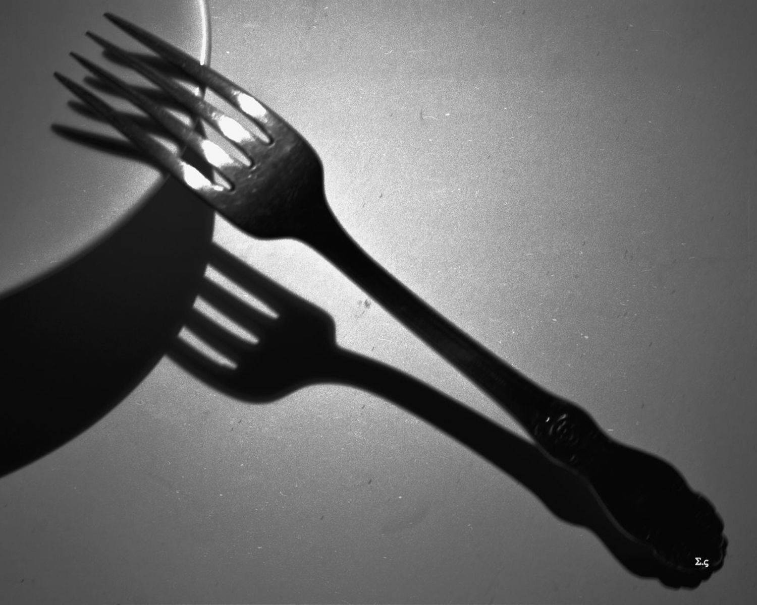 ВИЛКИ ТЕНИ FORK, Sergey Voronin