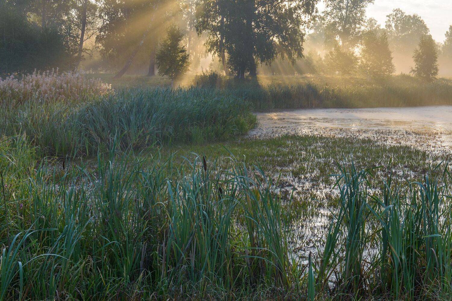 , Кутыгин Эдуард