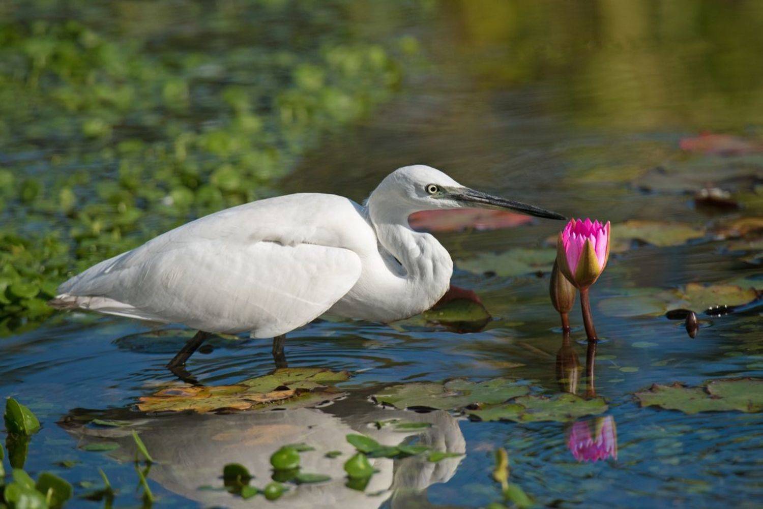 , Людмила Бекман