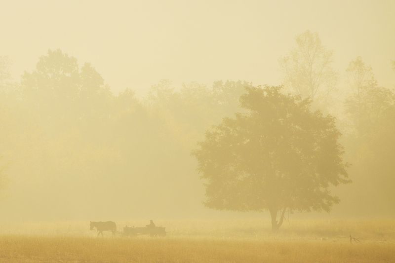 2012 фото превью
