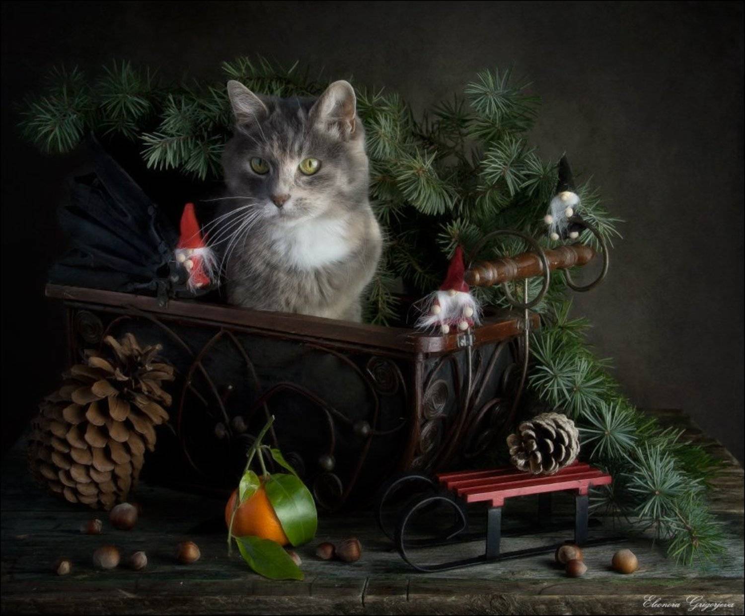 , Eleonora Grigorjeva