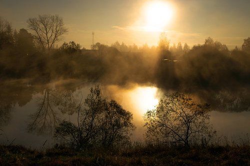 Силуэты осеннего утра
