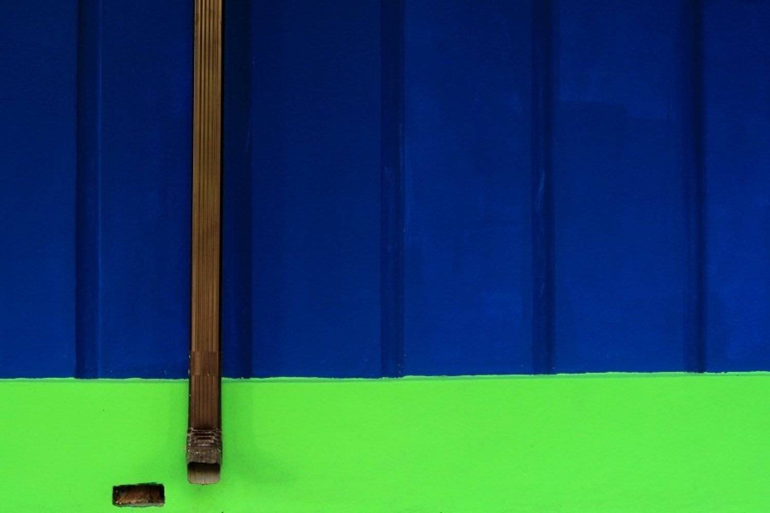 , Сюзанна Шевченко