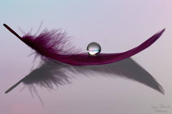 , Сергей Толмачев