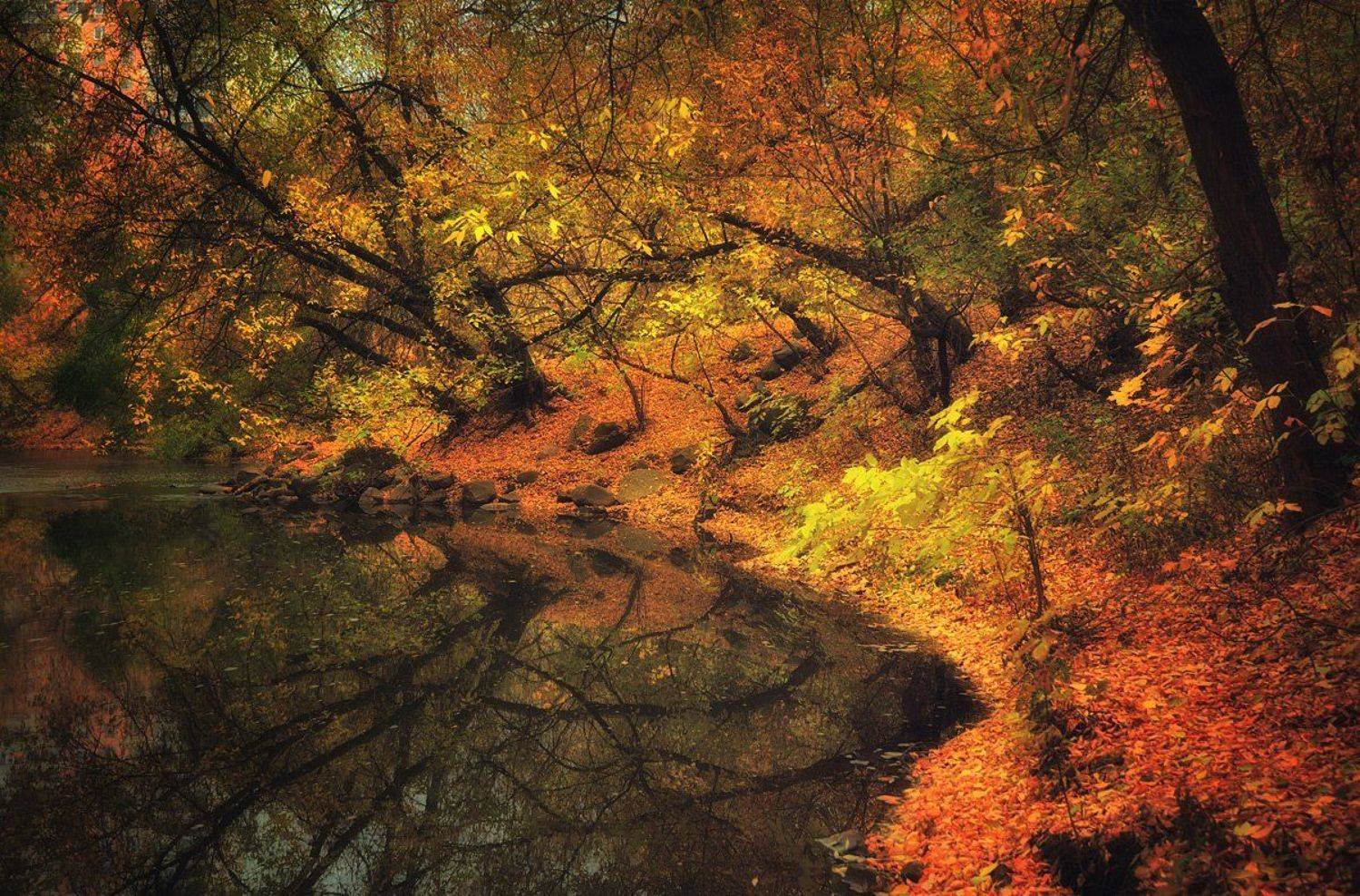 Осень, Пейзаж, Алексей Никонов